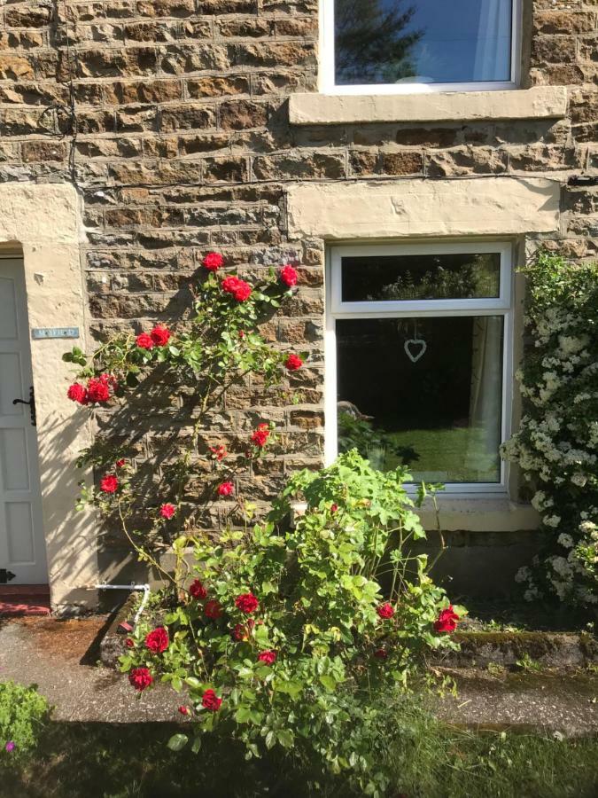 Mayfield Cottage Burtree Ford Exteriér fotografie
